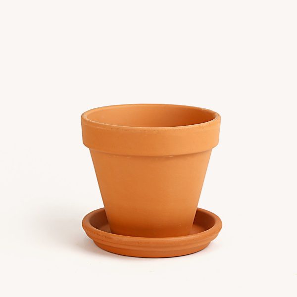 Month to month Hot on Sale - Image 5