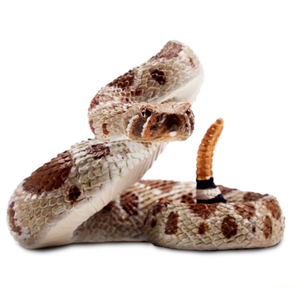 Western Diamondback Rattlesnake 101083 Supply